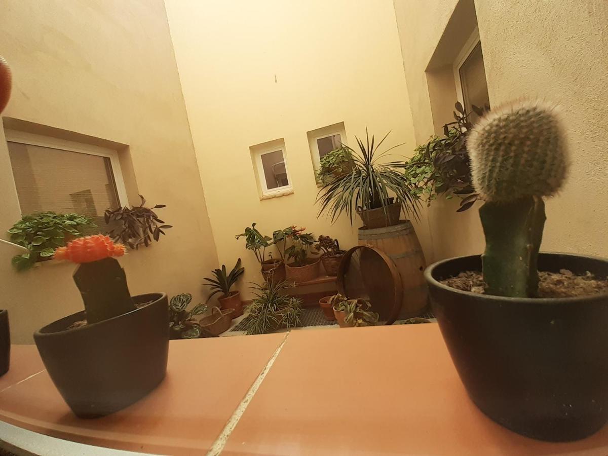 Bed and Breakfast Casa La Foradada Corbera Zewnętrze zdjęcie